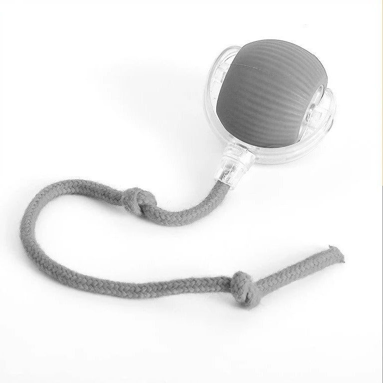 Interactive Dog Ball with Random Bounce and Removable Tail, Battery Operated All Vera Mart
