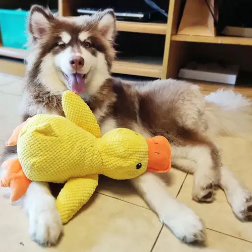 Quacking Dog Toy with Low Realistic Quack and Reinforced Plush, Machine Washable All Vera Mart