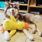 Quacking Dog Toy with Low Realistic Quack and Reinforced Plush, Machine Washable All Vera Mart