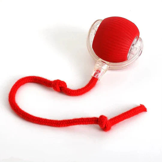 Interactive Rolling Ball Toy with Motion Sensor and Soft Tail for Dogs All Vera Mart