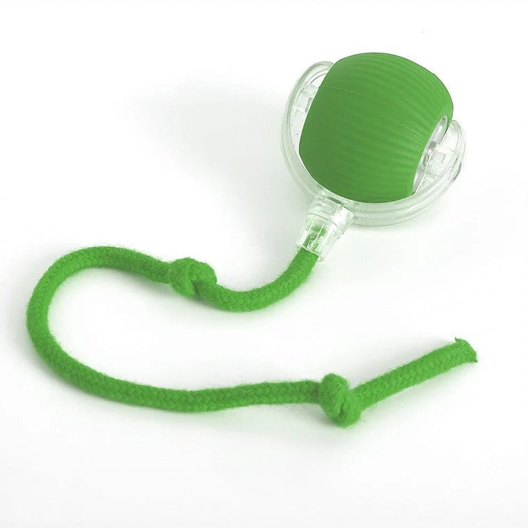 Interactive Dog Ball with Random Bounce and Removable Tail, Battery Operated All Vera Mart
