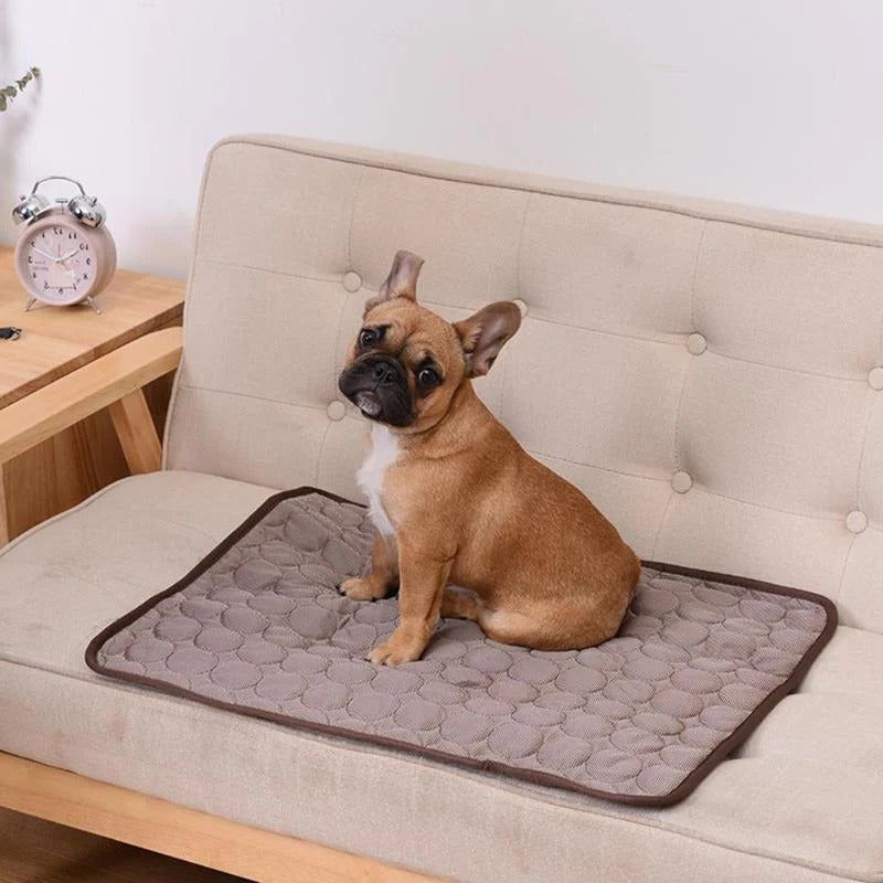 Pressure-Activated Cooling Pad for Small to Medium Pets, 15.7 x 11.8 Inches All Vera Mart