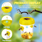 Solar Wasp and Bee Trap with UV Light and Dual Tunnels, 6-Pack Set All Vera Mart