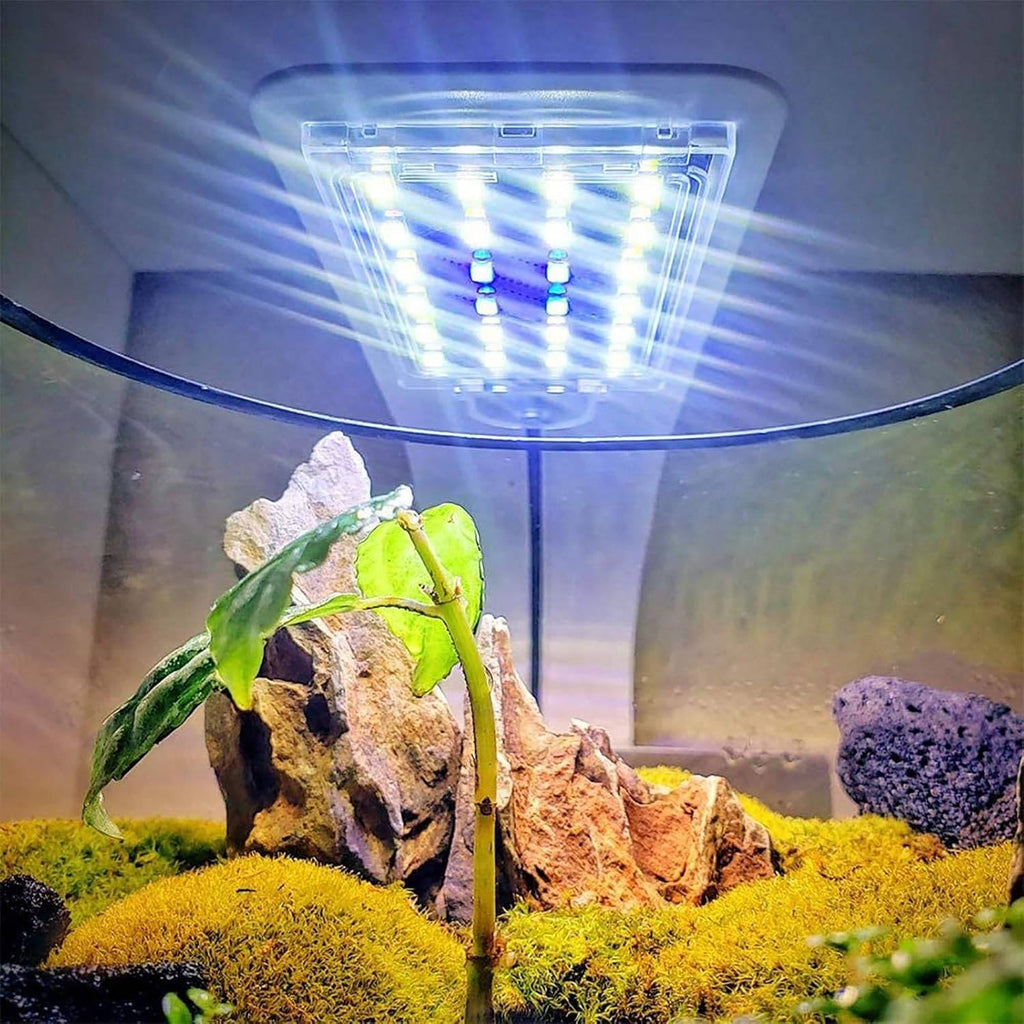 LED Aquarium Light with Clip Mount and Natural Spectrum for Plant Growth All Vera Mart