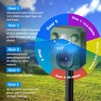 Motion Activated Animal Deterrent with Ultrasonic Sound and Flashing Light, Solar Powered All Vera Mart