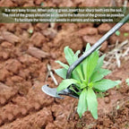 Standing Weed Puller with Four Steel Teeth and Extended Handle All Vera Mart