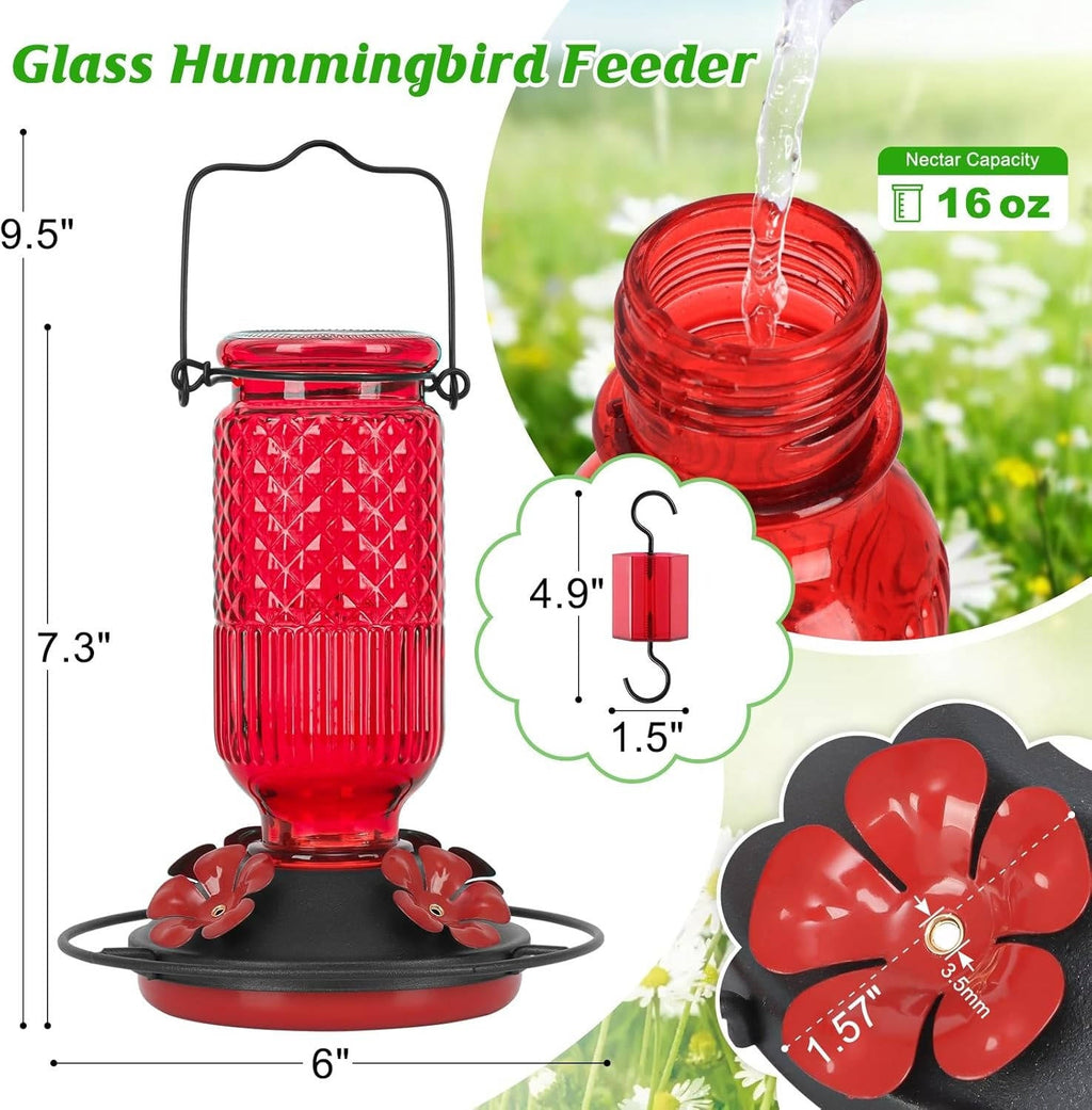 Hummingbird Feeder 16oz Glass with Bee Guard Ports and Ant Moat All Vera Mart
