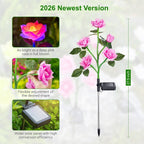 Solar Rose Garden Lights with 7-Color LED Blooms and Ground Stakes, 3-Pack for Pathways All Vera Mart