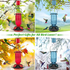 Hummingbird Feeder 16oz Glass with Bee Guard Ports and Ant Moat All Vera Mart