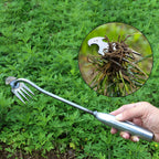 Standing Weed Puller with Four Steel Teeth and Extended Handle All Vera Mart