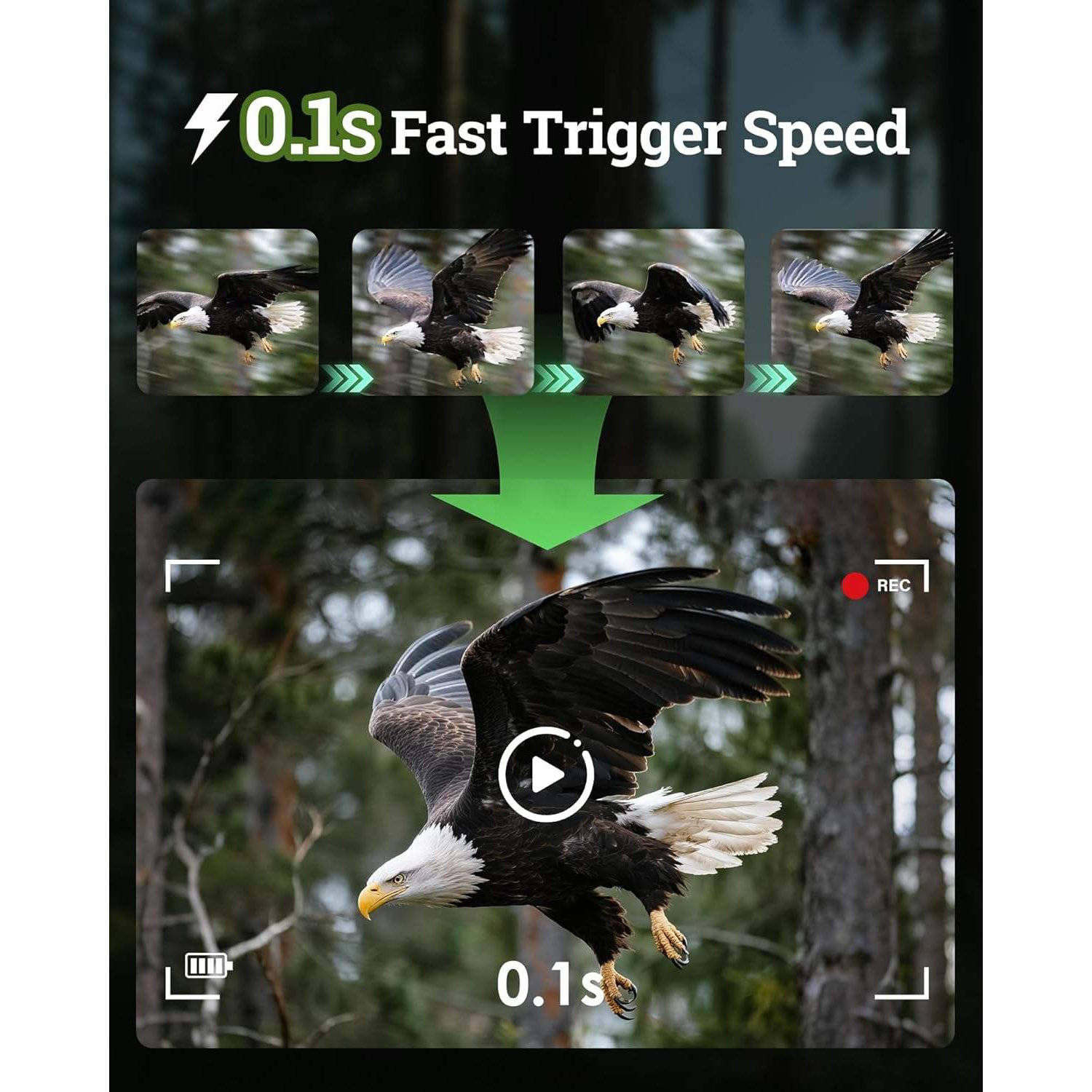 4K Trail Camera with Solar Panel and Wireless Hotspot, 64MP Night Vision All Vera Mart