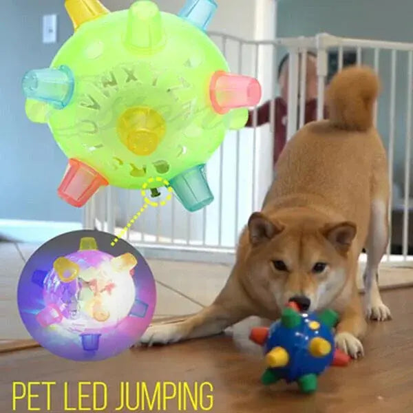 Interactive Dog Toy with Bouncing Motion and LED Lights, USB Rechargeable All Vera Mart