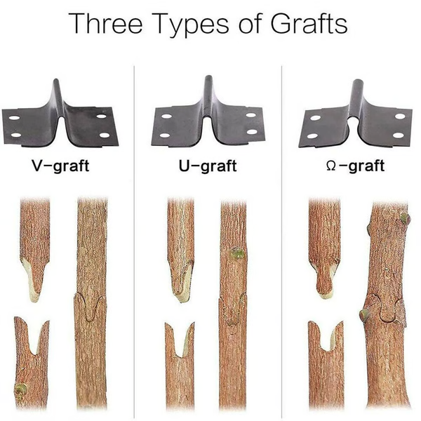 Grafting Tool with Three Interchangeable Steel Blades and Ergonomic Grip All Vera Mart