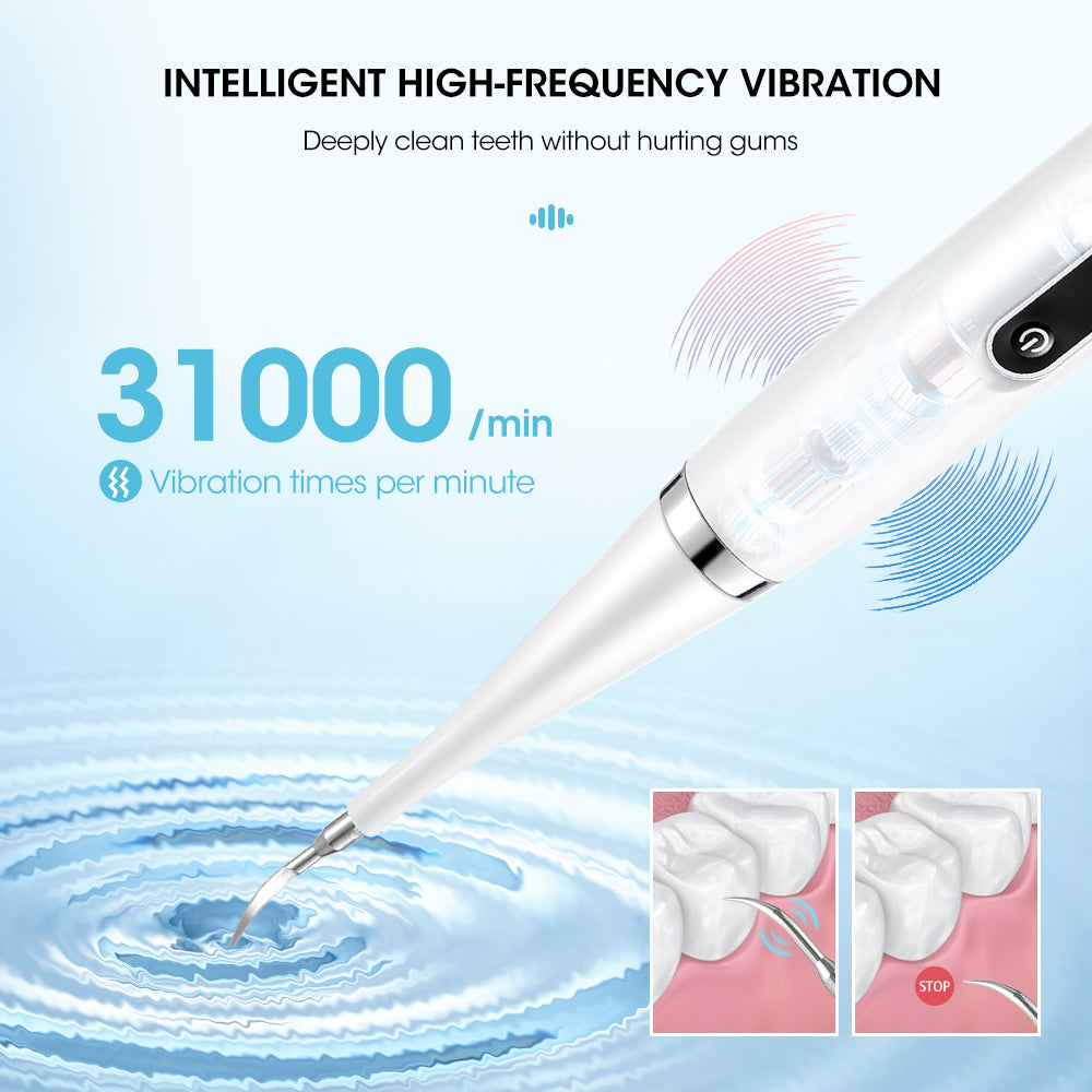 Ultrasonic Teeth Cleaner with Stainless Steel Head and Endoscope Attachment All Vera Mart