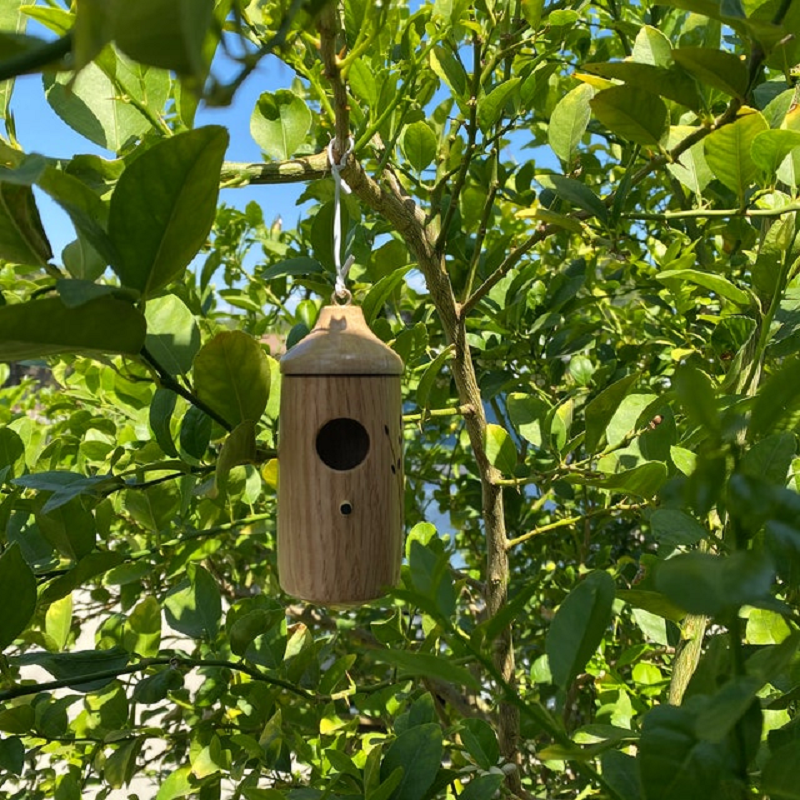 Hummingbird Nesting House with Wood Grain Finish and Hanging Hook All Vera Mart