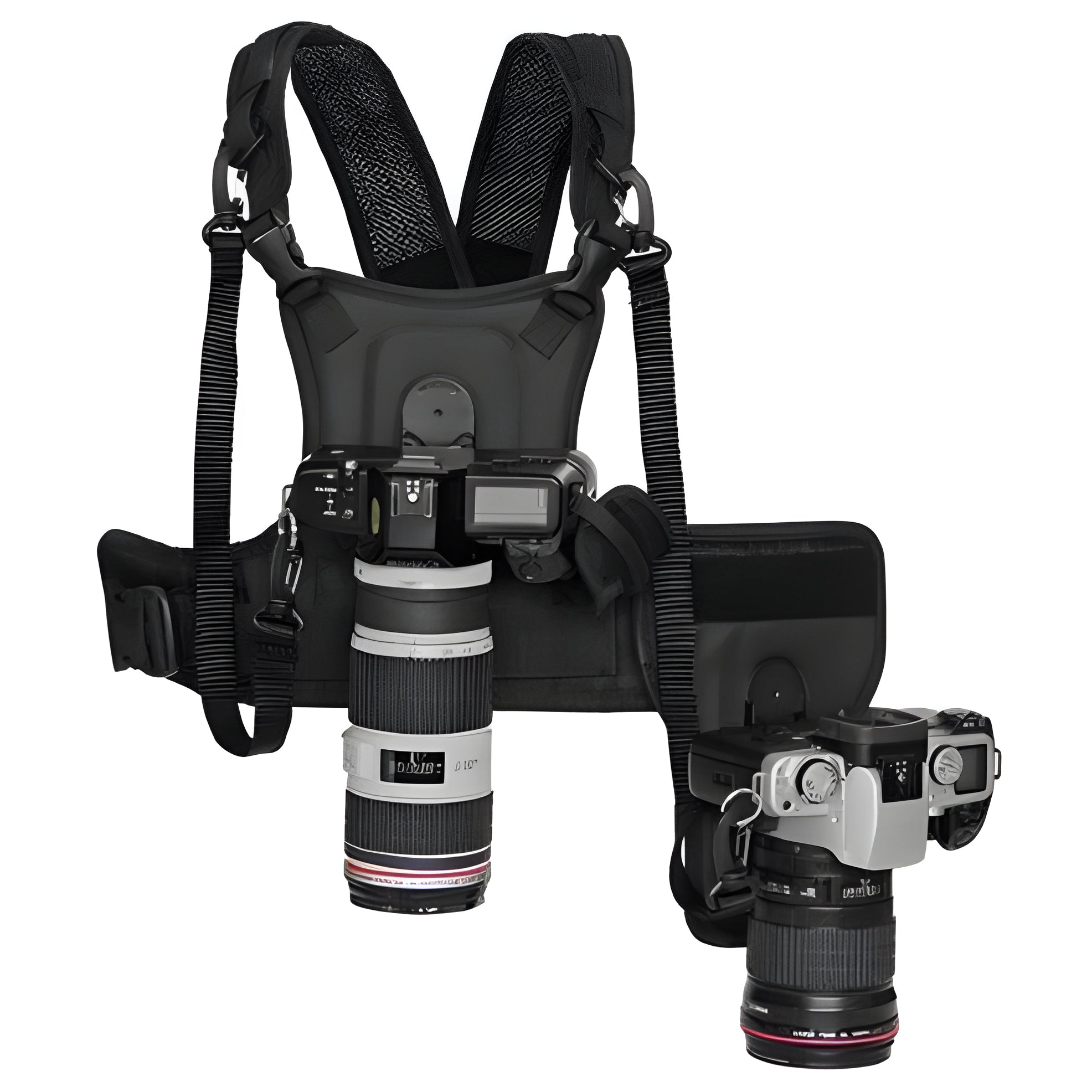 Chest Harness for Two Cameras with Aluminum Mounts and Safety Tethers All Vera Mart
