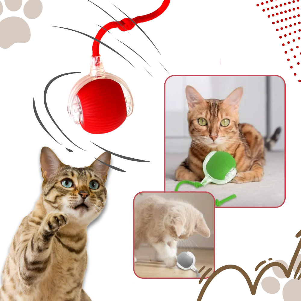 Automatic Rolling Cat Ball with Motion Sensors and 3 Speed Modes All Vera Mart