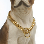 Solid Steel Dog Collar with High Polish Finish and Chew Proof Links All Vera Mart