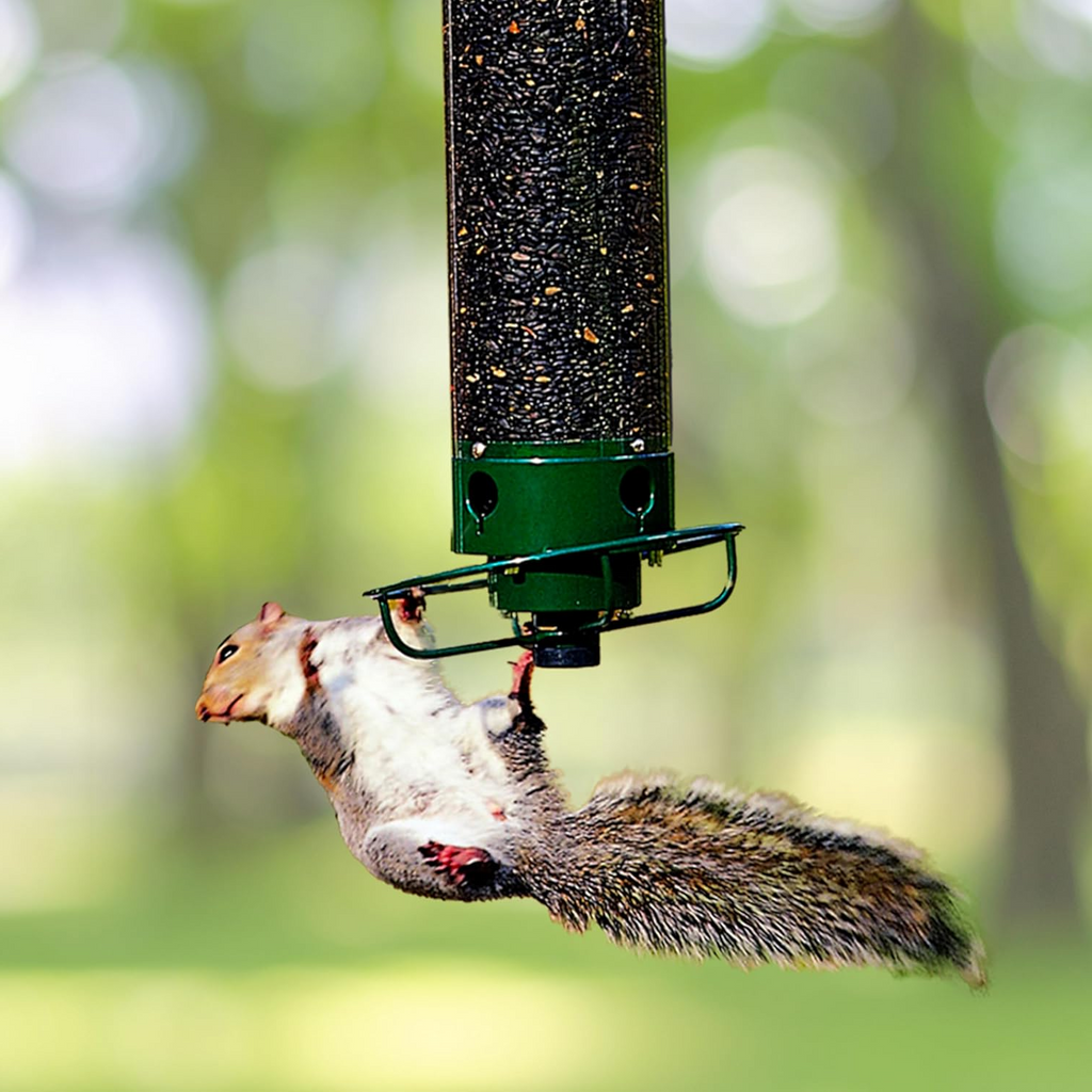 Weight-Activated Bird Feeder with Rotating Perch and Four Feeding Ports All Vera Mart