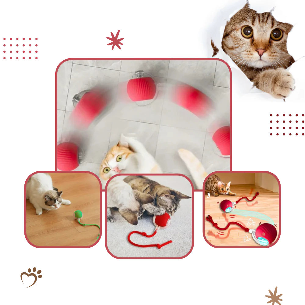 Automatic Rolling Cat Ball with Motion Sensors and 3 Speed Modes All Vera Mart