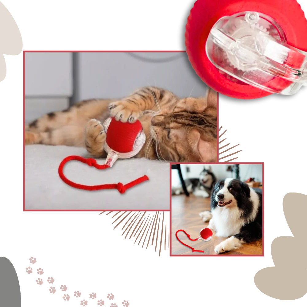 Automatic Rolling Cat Ball with Motion Sensors and 3 Speed Modes All Vera Mart