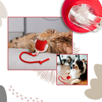 Automatic Rolling Cat Ball with Motion Sensors and 3 Speed Modes All Vera Mart