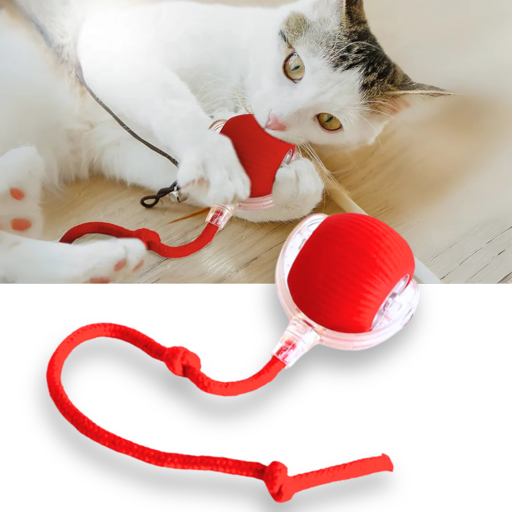 Automatic Rolling Cat Ball with Motion Sensors and 3 Speed Modes All Vera Mart