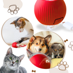Automatic Rolling Cat Ball with Motion Sensors and 3 Speed Modes All Vera Mart