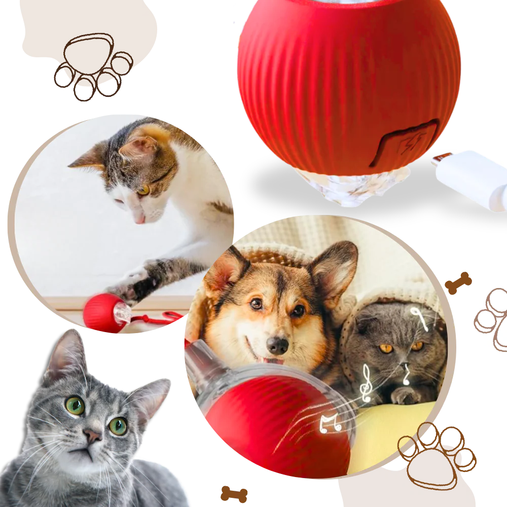 Automatic Rolling Cat Ball with Motion Sensors and 3 Speed Modes All Vera Mart