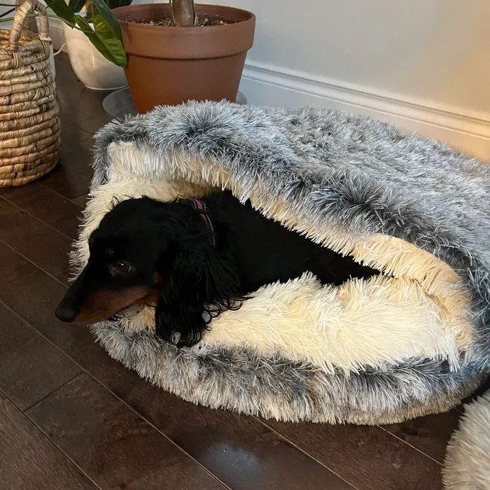 Covered Pet Bed with Partial Canopy and Raised Sides for Small Dogs and Cats All Vera Mart