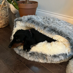 Covered Pet Bed with Partial Canopy and Raised Sides for Small Dogs and Cats All Vera Mart