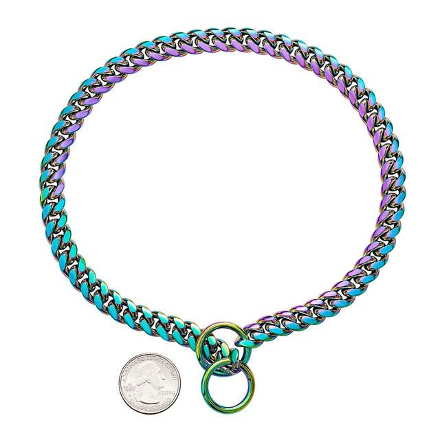 Solid Steel Dog Collar with High Polish Finish and Chew Proof Links All Vera Mart