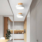 LED Ceiling Light with Adjustable Color Temperature and Slim Flush Mount, 150 sq ft All Vera Mart