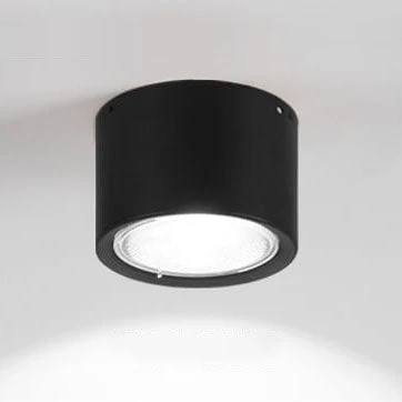 LED Ceiling Spotlight with Rotatable Cylinder Head and Matte Metal Housing All Vera Mart