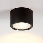 LED Ceiling Spotlight with Rotatable Cylinder Head and Matte Metal Housing All Vera Mart
