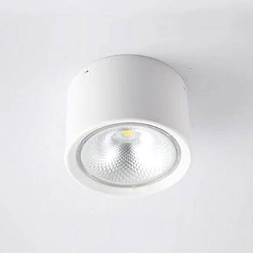LED Ceiling Spotlight with Rotatable Cylinder Head and Matte Metal Housing All Vera Mart