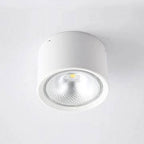 LED Ceiling Spotlight with Rotatable Cylinder Head and Matte Metal Housing All Vera Mart