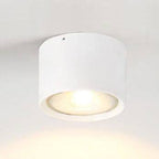 LED Ceiling Spotlight with Rotatable Cylinder Head and Matte Metal Housing All Vera Mart