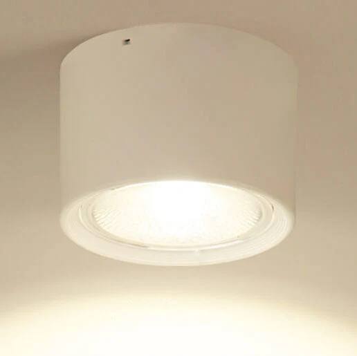 LED Ceiling Spotlight with Rotatable Cylinder Head and Matte Metal Housing All Vera Mart