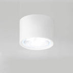 LED Ceiling Spotlight with Rotatable Cylinder Head and Matte Metal Housing All Vera Mart