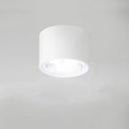 LED Ceiling Spotlight with Rotatable Cylinder Head and Matte Metal Housing All Vera Mart