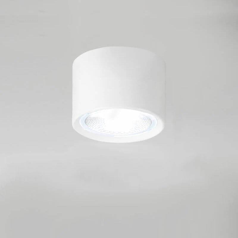 LED Ceiling Spotlight with Rotatable Cylinder Head and Matte Metal Housing All Vera Mart