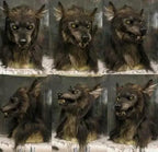 Werewolf Mask with Realistic Synthetic Hair and Flexible Silicone Fit, Large Eye Openings All Vera Mart