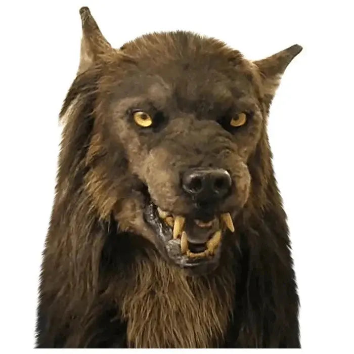 Werewolf Mask with Realistic Synthetic Hair and Flexible Silicone Fit, Large Eye Openings All Vera Mart