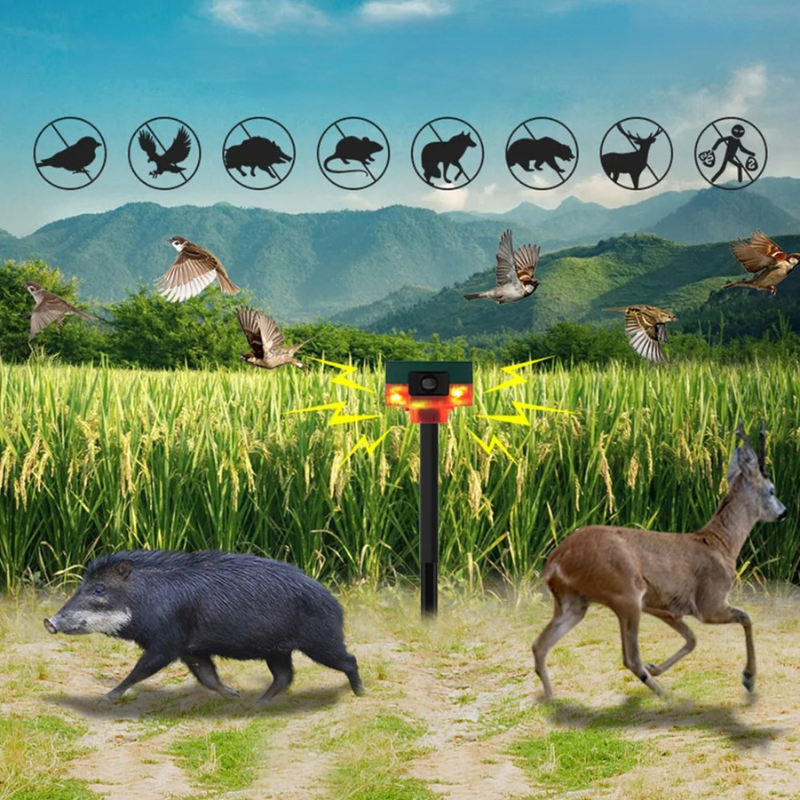 Motion-Activated Animal Repeller with Solar Panel and Strobe Lights, Remote Control All Vera Mart