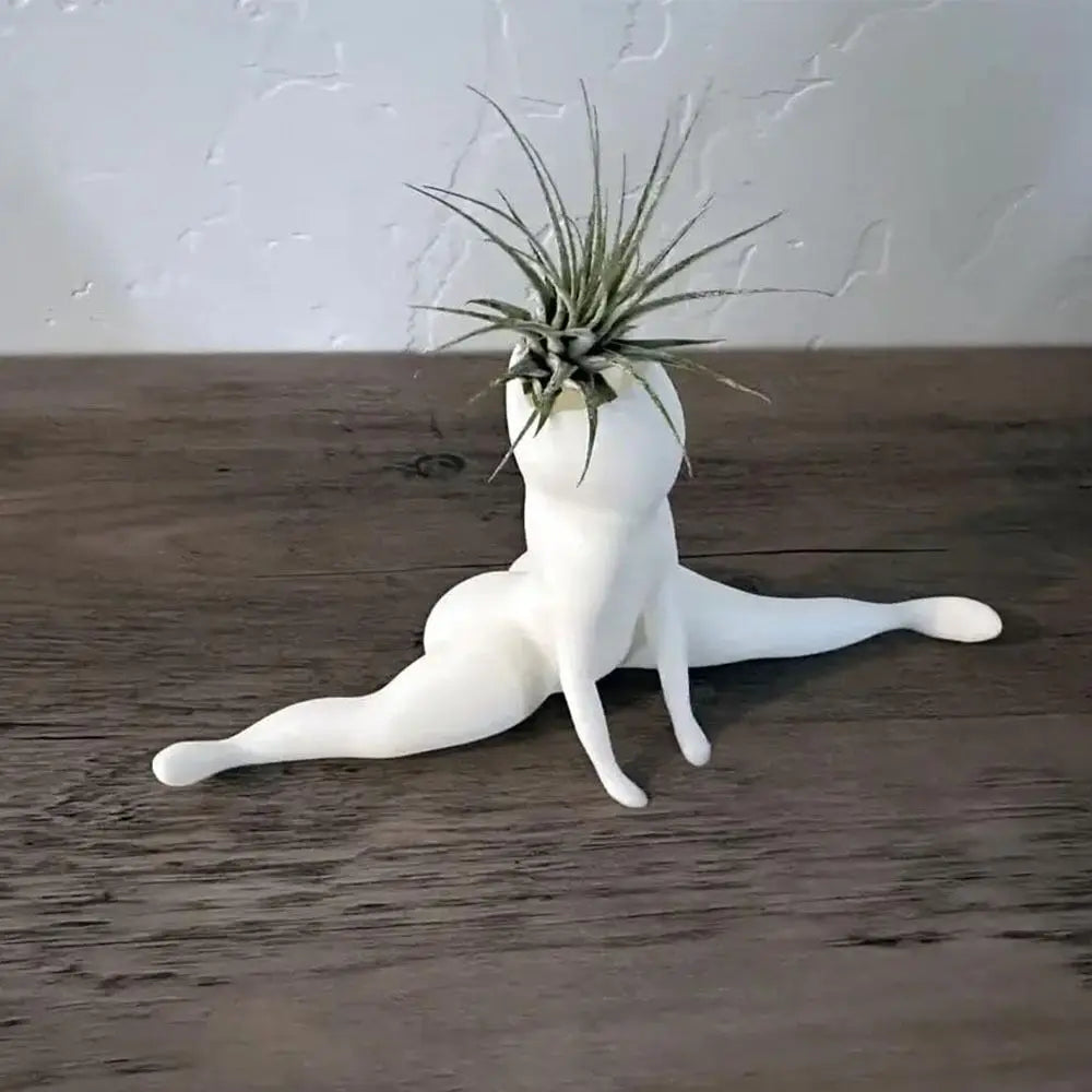 Spooky Shape Air Plant Display - SpookyBuddy-Nora Luxe