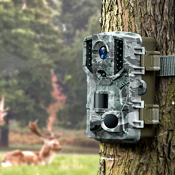 Motion Activated Trail Camera with 24MP Photos and Infrared Night Vision All Vera Mart