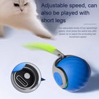 Smart Rolling Cat Ball with Sensor Activation and Feather Attachment, Dual Mode All Vera Mart